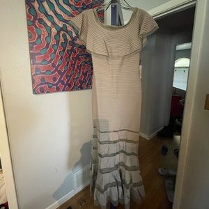 Tadashi Shoji Gown size petite Small